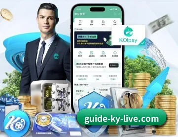 开云最新入口 APP 深度功能介绍