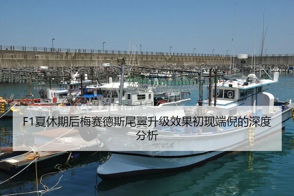 F1夏休期后梅赛德斯尾翼升级效果初现端倪的深度分析