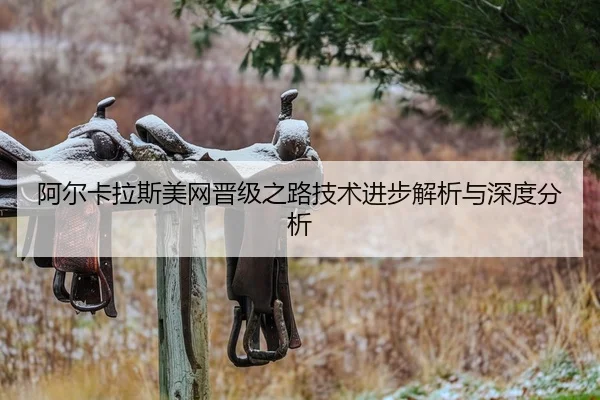 阿尔卡拉斯美网晋级之路技术进步解析与深度分析